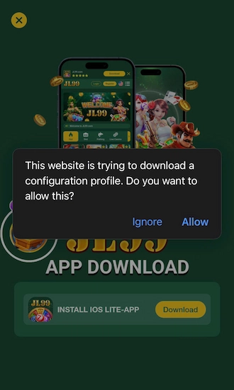 Click on the "Allow" option